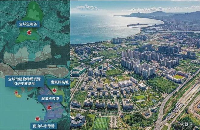 屿间售楼处林屿间首页网站楼盘百科凯发国际K82025三亚招商·林