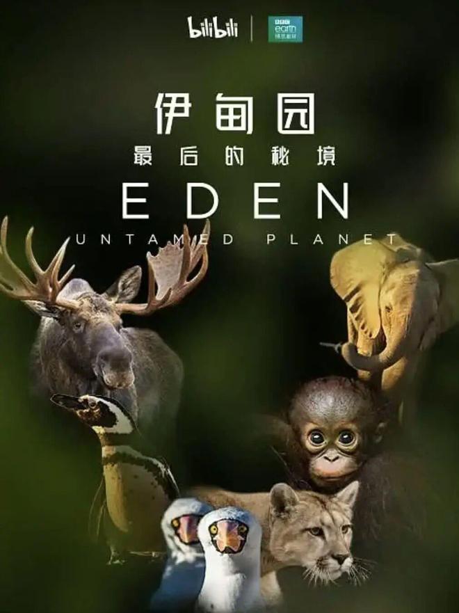 质疑:内存涨价太多苹果着手调查部分iPhone 17 Pro褪色凯发一触即发理想回应MEGA 行驶中起火车主发声雷军谈K90定价(图1) 质疑:内存涨价太多苹果着手调查部分iPhone 17 Pro褪色凯发一触即发理想回应MEGA 行驶中起火车主发声雷军谈K90定价(图1)