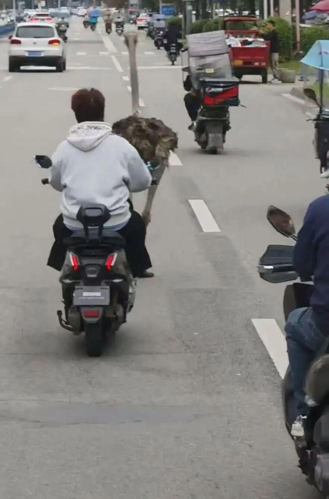 质疑:内存涨价太多苹果着手调查部分iPhone 17 Pro褪色凯发一触即发理想回应MEGA 行驶中起火车主发声雷军谈K90定价(图14) 质疑:内存涨价太多苹果着手调查部分iPhone 17 Pro褪色凯发一触即发理想回应MEGA 行驶中起火车主发声雷军谈K90定价(图14)